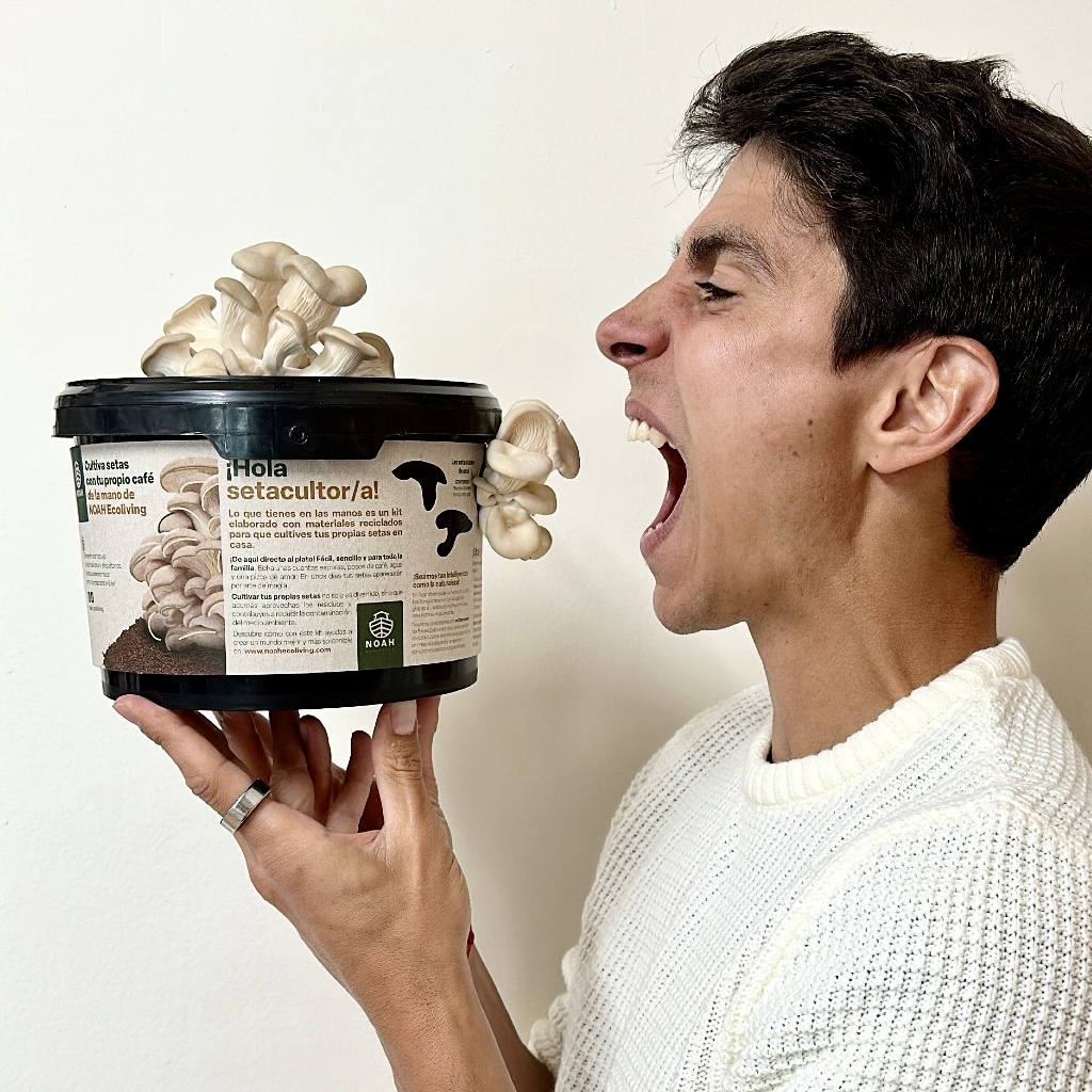 noah-ecoliving-kit-cultivo-setas-sexy-sostenible