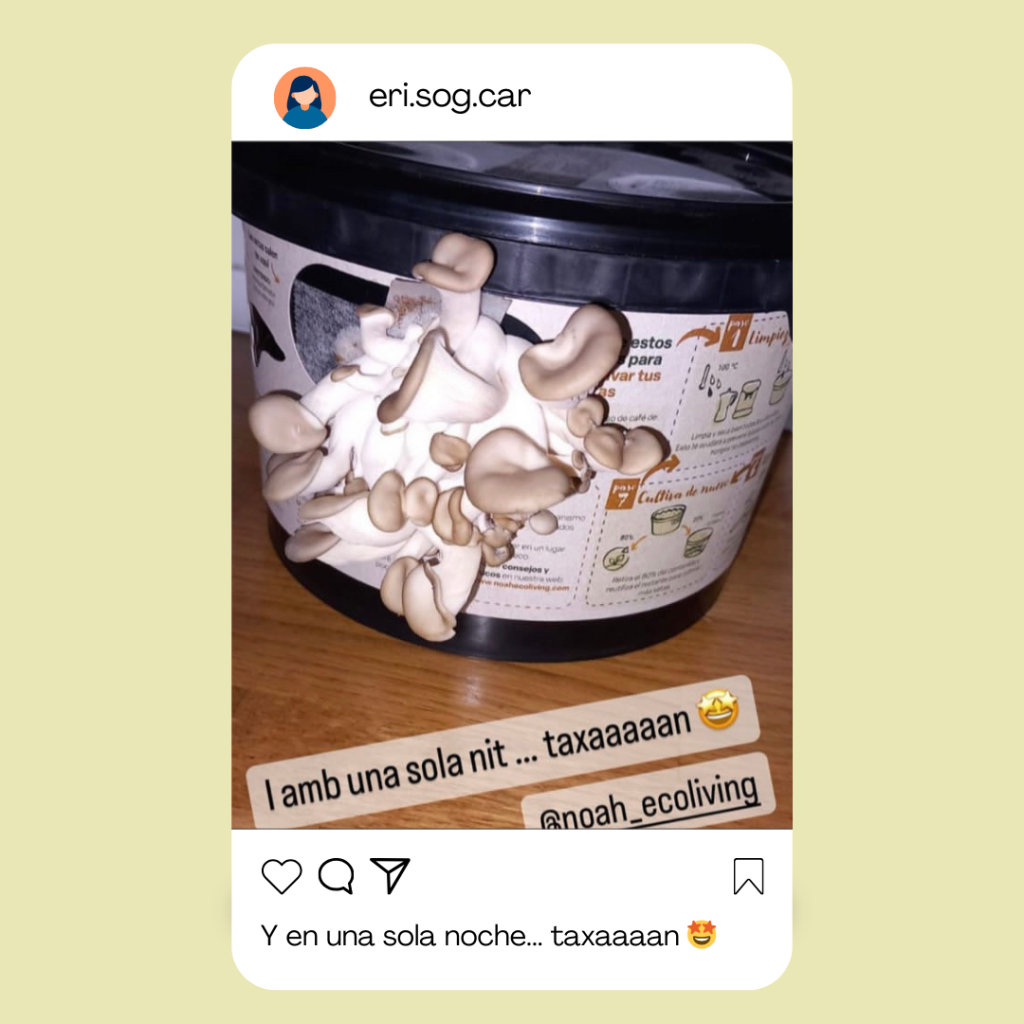 valoraciones-noah-ecoliving