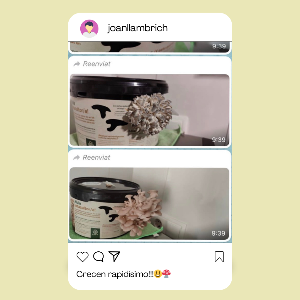 valoraciones-noah-ecoliving