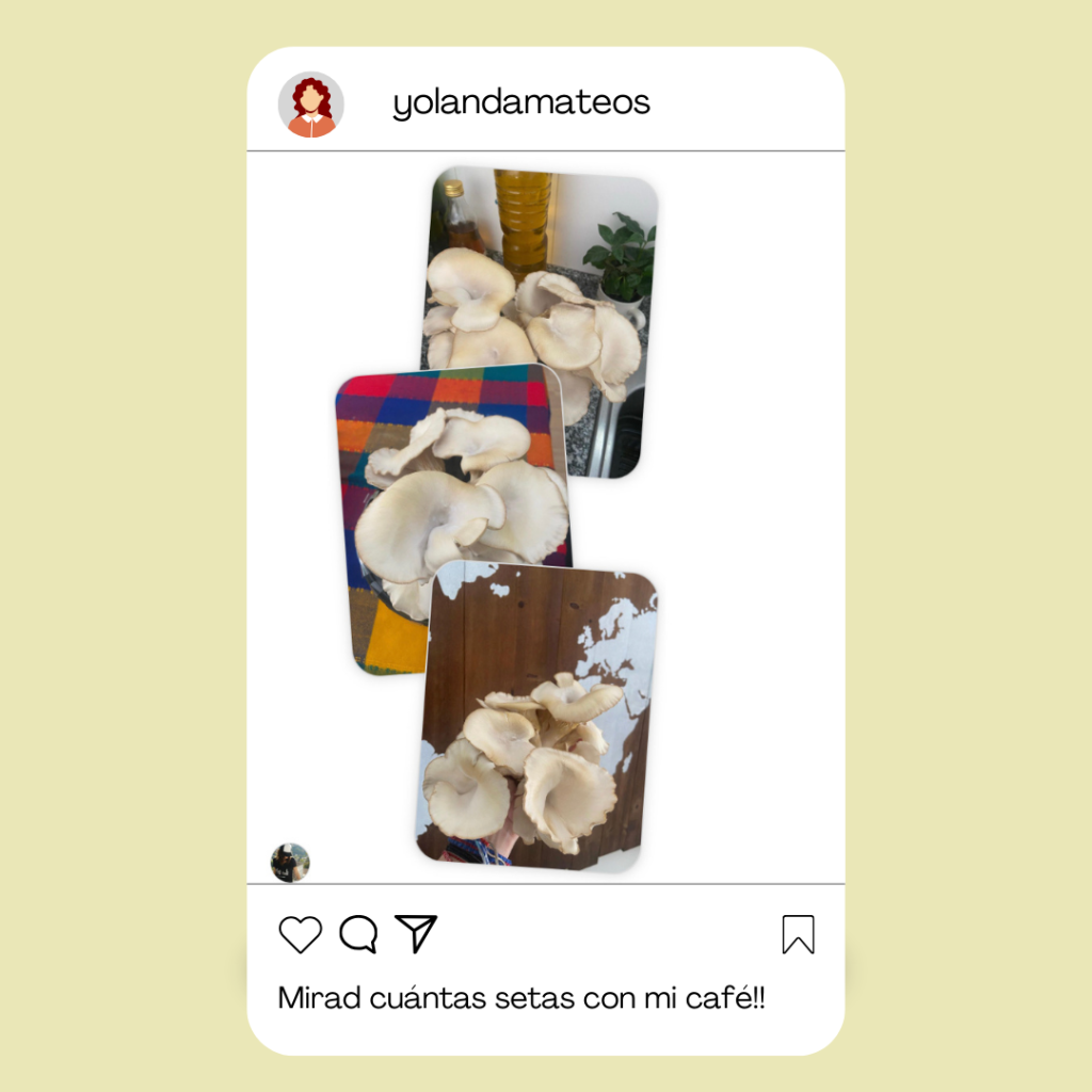 valoraciones-noah-ecoliving