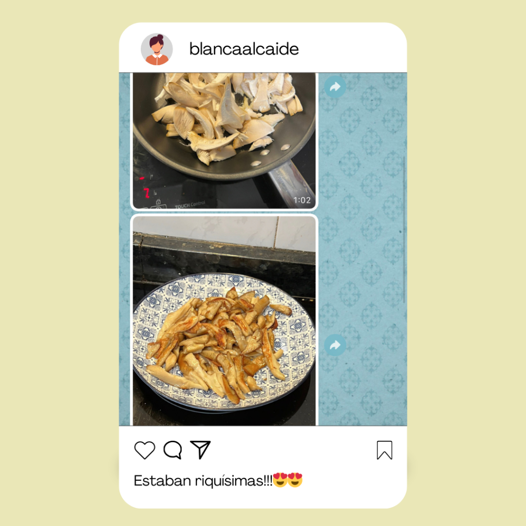 valoraciones-noah-ecoliving